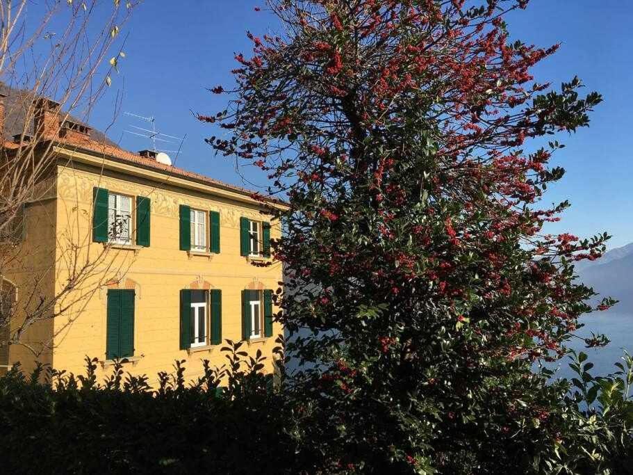 Villa Peroni Lake Como Classic With Swimming Pool Argegno Exterior photo